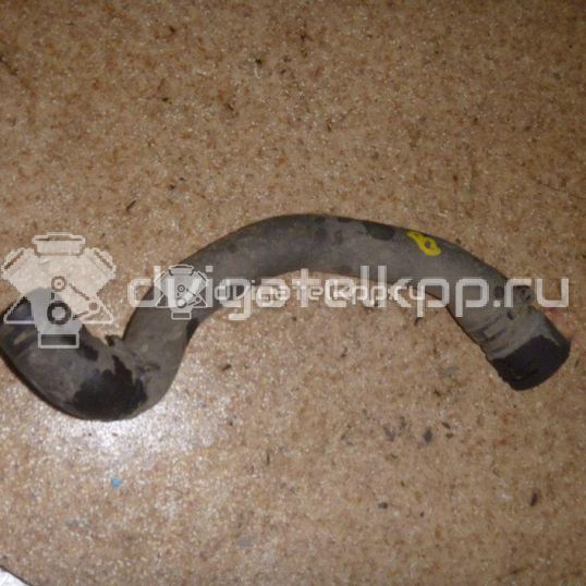 Фото Патрубок радиатора  1k0121101bs для Skoda Octavia / Octaviaii 1Z3