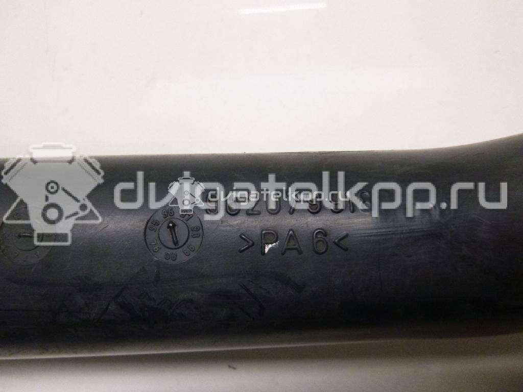 Фото Патрубок интеркулера для двигателя DHY (XUD9TE) для Peugeot 406 / Boxer / 806 221 / 405 90-93 л.с 8V 1.9 л Дизельное топливо 14248C {forloop.counter}}