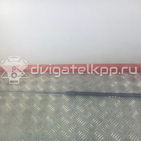 Фото Амортизатор капота  3C0823359A для volkswagen  Passat 6 (2005-2012)