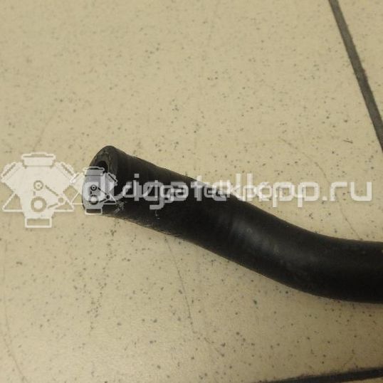 Фото Трубка топливная для двигателя CXSA для Seat Leon 122 л.с 16V 1.4 л бензин 04E133723F