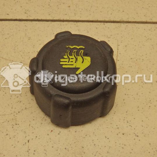 Фото Крышка расширительного бачка  8200048024 для Suzuki Jimny / Grand Vitara