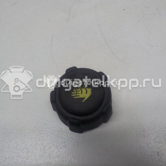 Фото Крышка расширительного бачка  8200048024 для Suzuki Jimny / Grand Vitara