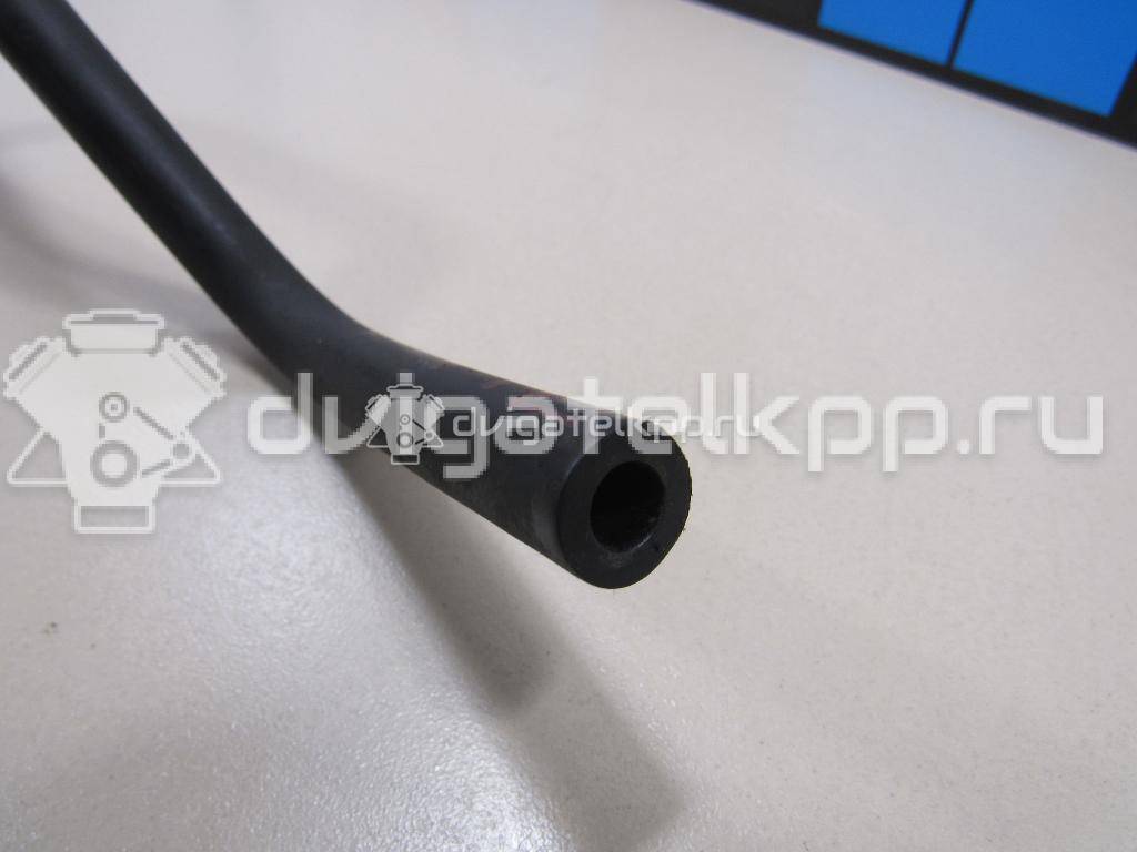 Фото Шланг топливный для двигателя BTS для Seat Ibiza / Cordoba 105 л.с 16V 1.6 л бензин 036133514E {forloop.counter}}