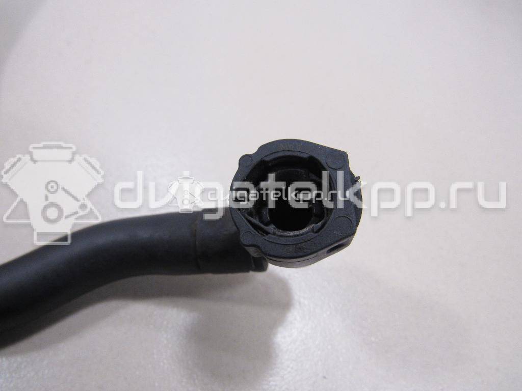 Фото Шланг топливный для двигателя BTS для Seat Ibiza / Cordoba 105 л.с 16V 1.6 л бензин 036133514E {forloop.counter}}