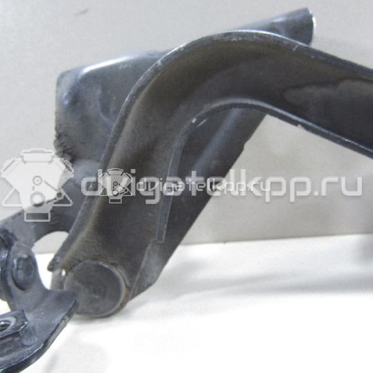 Фото Петля капота правая  5341042060 для Toyota Rav 4