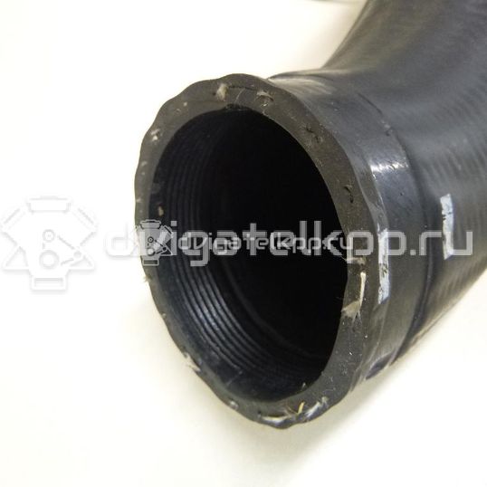 Фото Патрубок интеркулера для двигателя D 5244 T4 для Volvo V70 / Xc60 / S60 / S80 / Xc70 185 л.с 20V 2.4 л Дизельное топливо 31261367