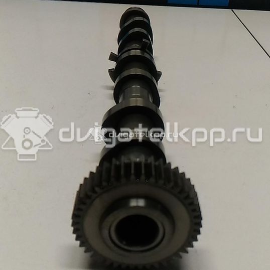 Фото Распредвал выпускной  059109022ct для audi A8 [4H]