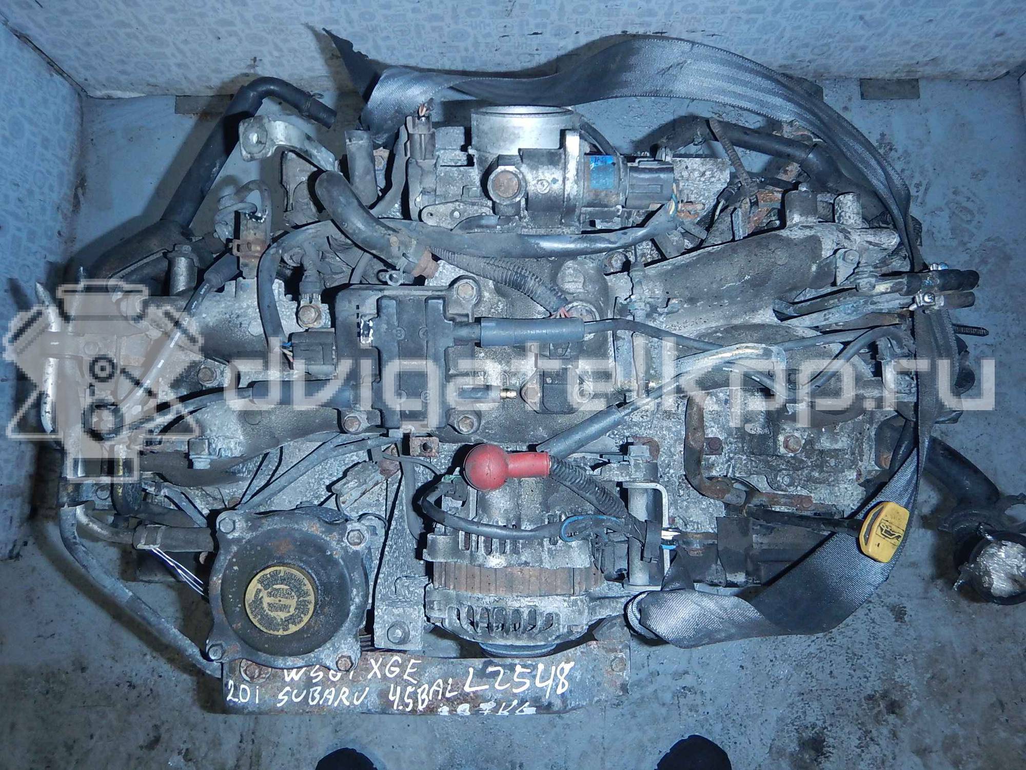 Фото Контрактный (б/у) двигатель EJ20 для Subaru Impreza 112-177 л.с 16V 2.0 л бензин {forloop.counter}}