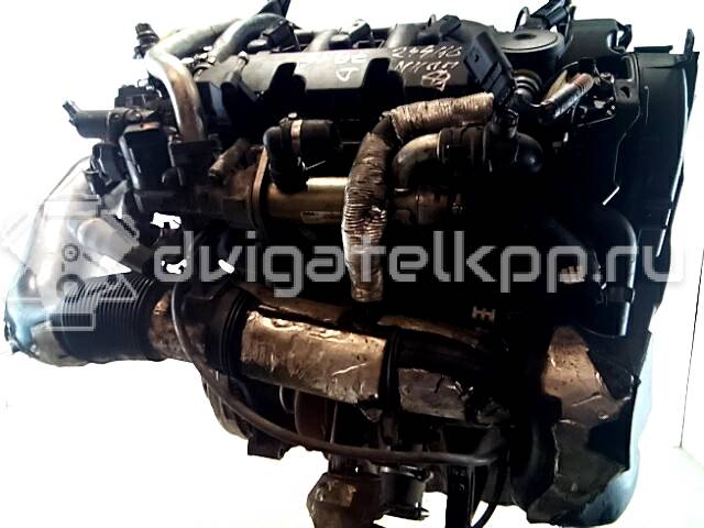 Фото Контрактный (б/у) двигатель D 4204 T для Volvo V40 / S40 136 л.с 16V 2.0 л Дизельное топливо {forloop.counter}}