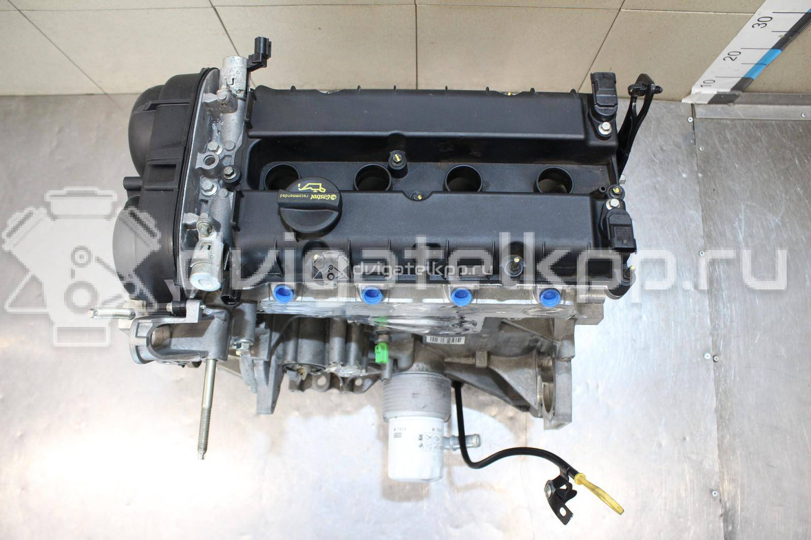 Фото Контрактный (б/у) двигатель CT для Volkswagen / Ford (Changan) 110 л.с 16V 1.5 л бензин 1727626 {forloop.counter}}