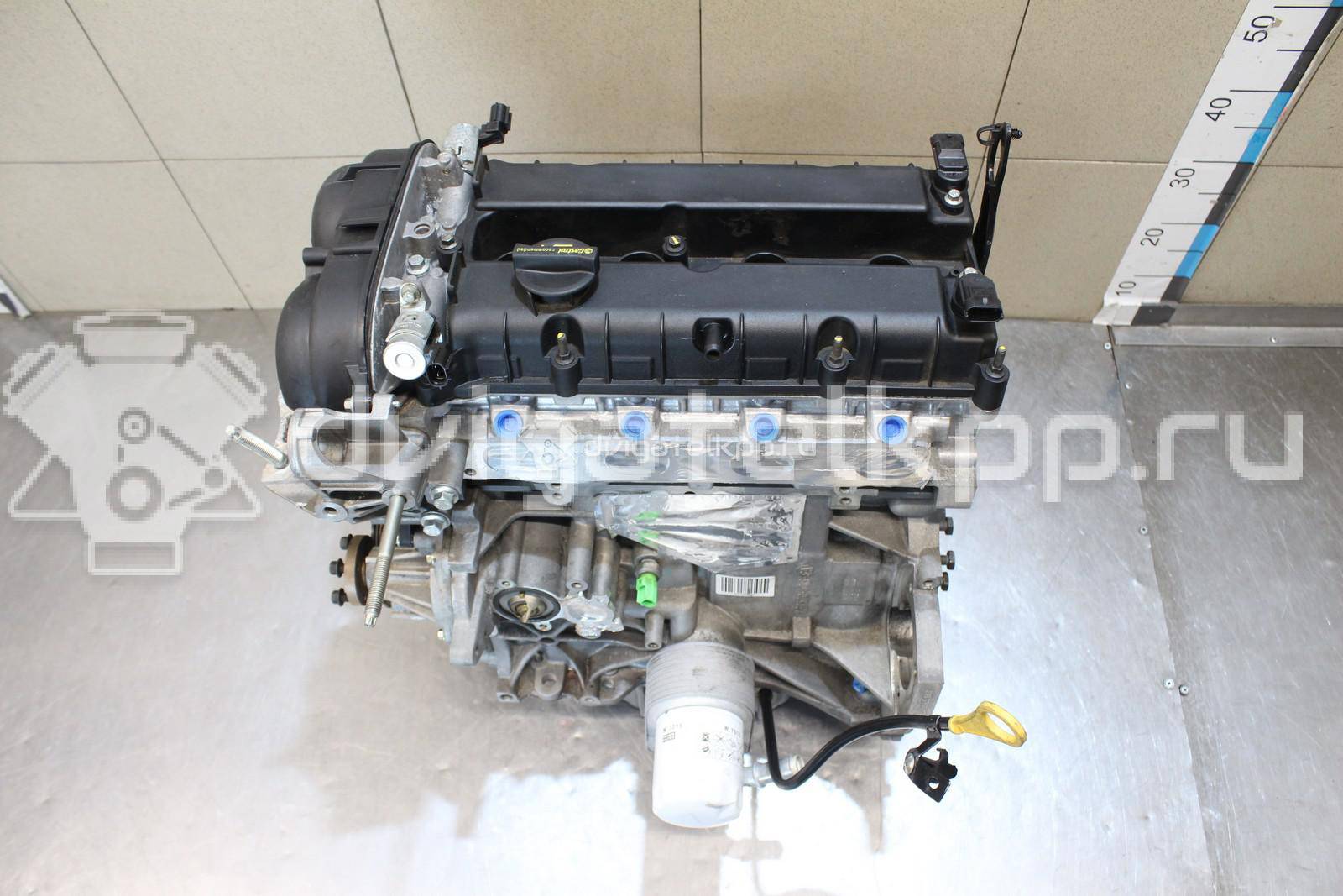 Фото Контрактный (б/у) двигатель CT для Volkswagen / Ford (Changan) 110 л.с 16V 1.5 л бензин 1727626 {forloop.counter}}