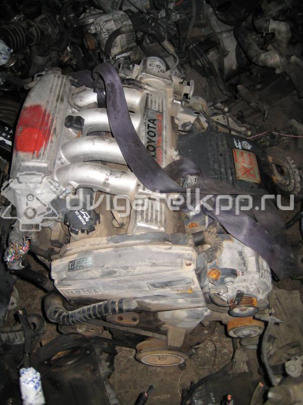 Фото Контрактный (б/у) двигатель 3S-GE для Toyota Carina / Camry / Vista / Altezza / Corona 140-200 л.с 16V 2.0 л бензин {forloop.counter}}