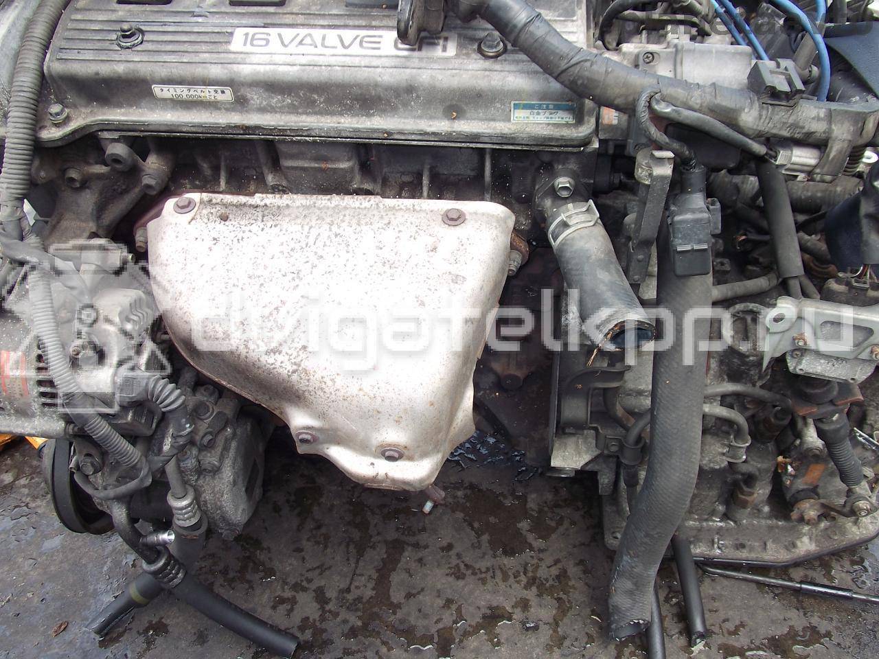 Фото Контрактный (б/у) двигатель 7A-FE для Toyota / Holden 107-120 л.с 16V 1.8 л бензин {forloop.counter}}