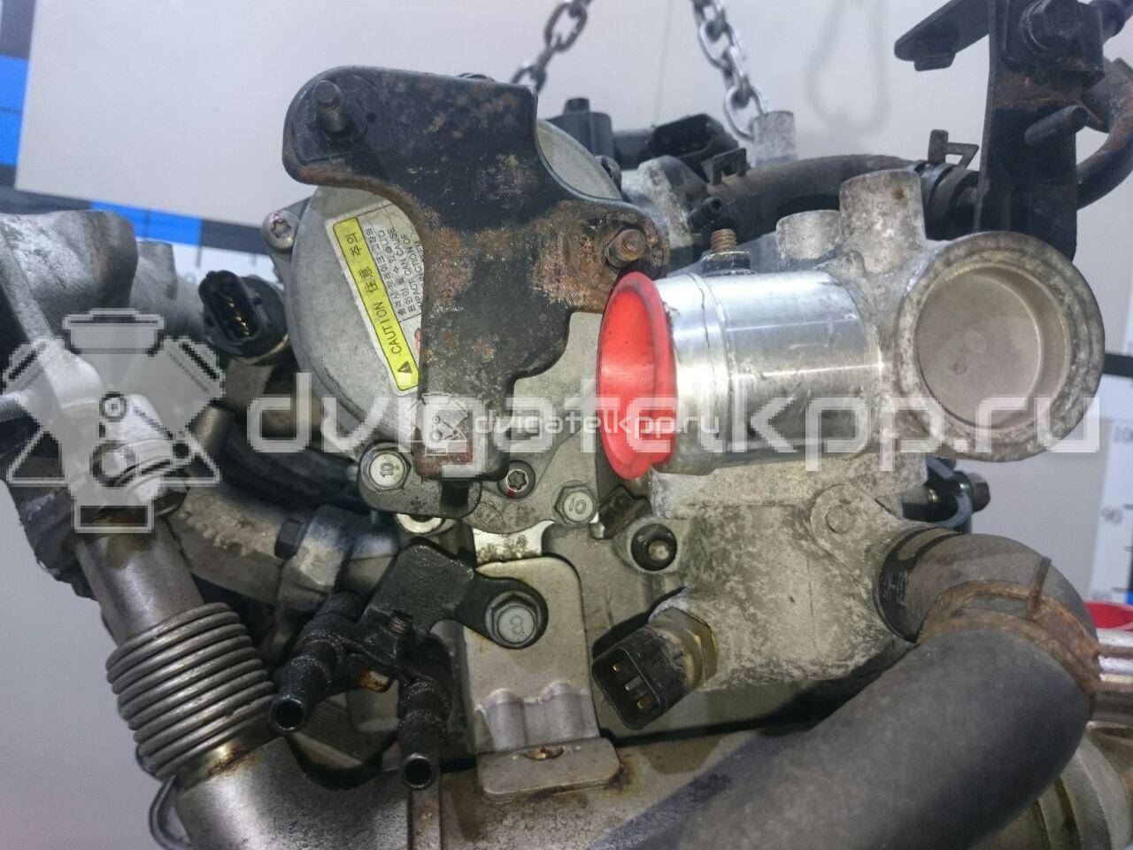 Фото Контрактный (б/у) двигатель D4FA для Ford Australia / Effedi / Hyundai / Kia 88-112 л.с 16V 1.5 л Дизельное топливо {forloop.counter}}