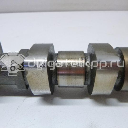 Фото Распредвал впускной  0801z0 для Citroen C2 Jm / C4 / Xsara / Berlingo / C3