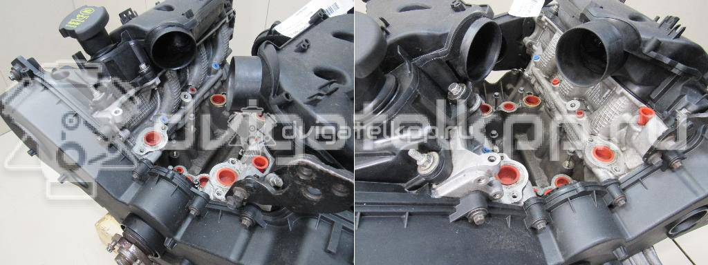 Фото Контрактный (б/у) двигатель 276DT для Ford Australia / Land Rover 190 л.с 24V 2.7 л Дизельное топливо LBB500390 {forloop.counter}}