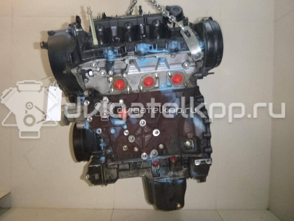 Фото Контрактный (б/у) двигатель 276DT для Ford Australia / Land Rover 190 л.с 24V 2.7 л Дизельное топливо LR004729 {forloop.counter}}