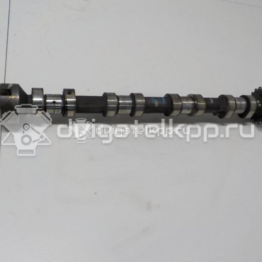 Фото Распредвал впускной для двигателя 224DT для Land Rover Freelander / Range Rover / Discovery 150-190 л.с 16V 2.2 л Дизельное топливо LR021913