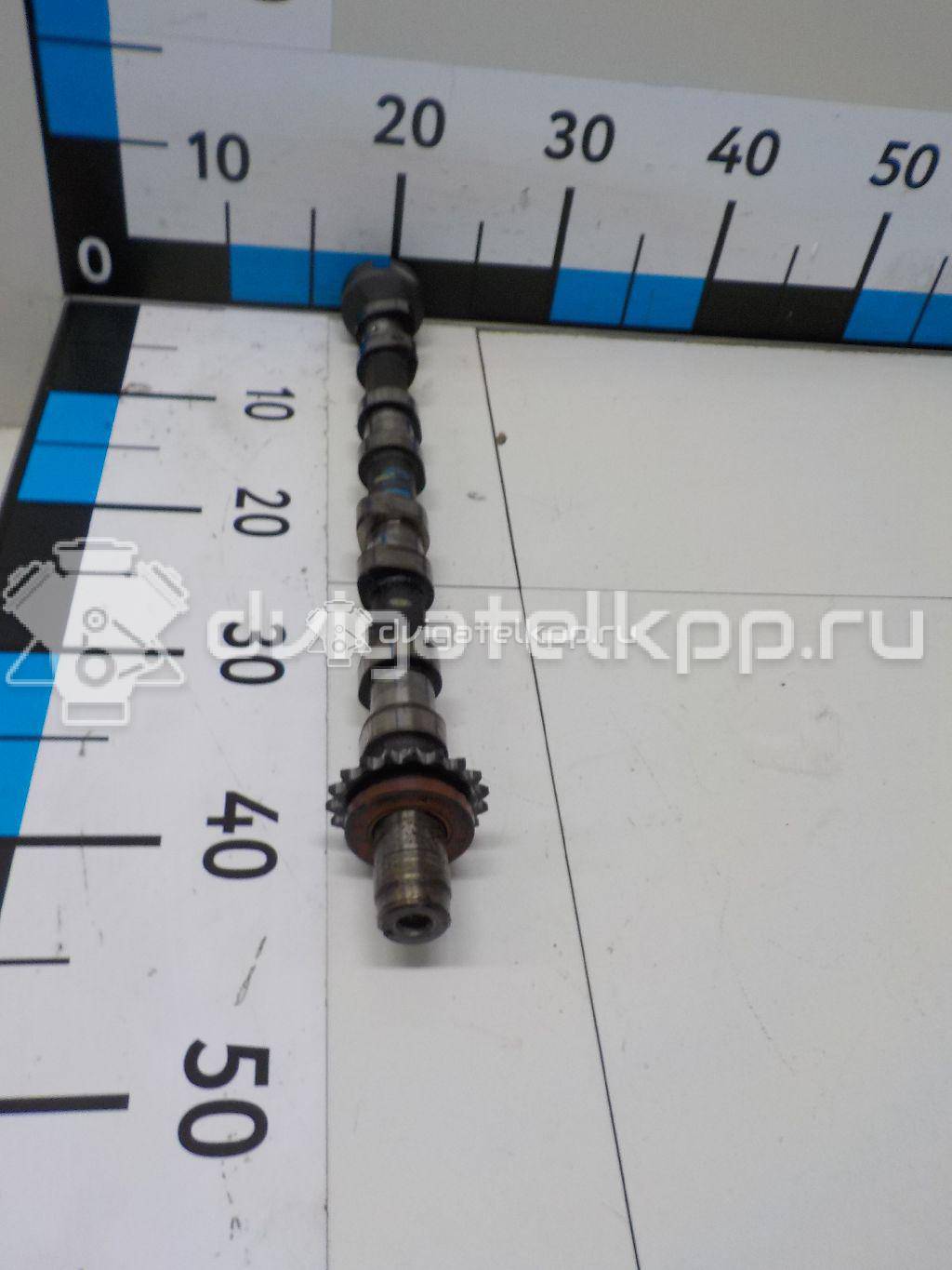 Фото Распредвал впускной для двигателя 224DT для Land Rover Freelander / Range Rover / Discovery 150-190 л.с 16V 2.2 л Дизельное топливо LR021913 {forloop.counter}}