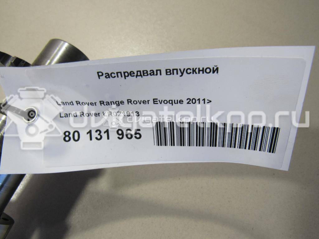 Фото Распредвал впускной для двигателя 224DT для Jaguar / Land Rover 150-200 л.с 16V 2.2 л Дизельное топливо LR021913 {forloop.counter}}