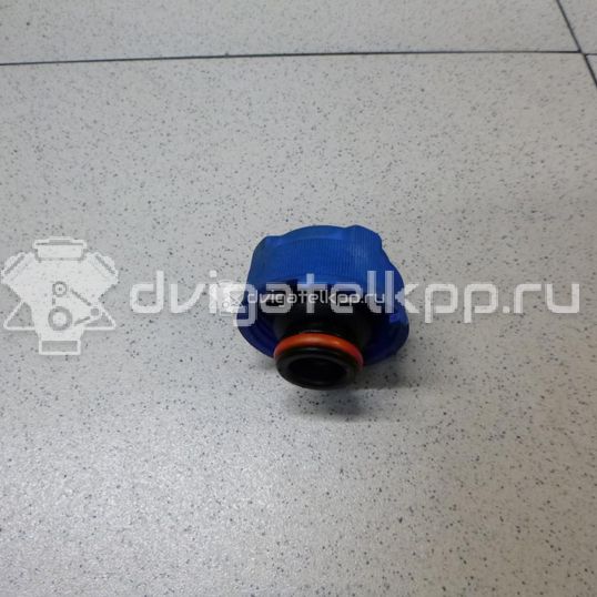 Фото Крышка расширительного бачка  1306F8 для ford KA