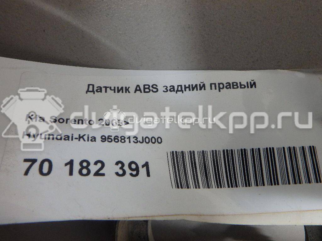 Фото Датчик ABS задний правый  956813J000 для Hyundai Ix55 {forloop.counter}}