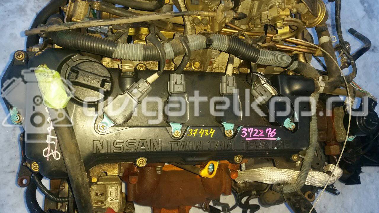 Фото Контрактный (б/у) двигатель QG18DE для Nissan Expert / Pulsar / Sentra / Sunny / Bluebird 106-128 л.с 16V 1.8 л бензин {forloop.counter}}