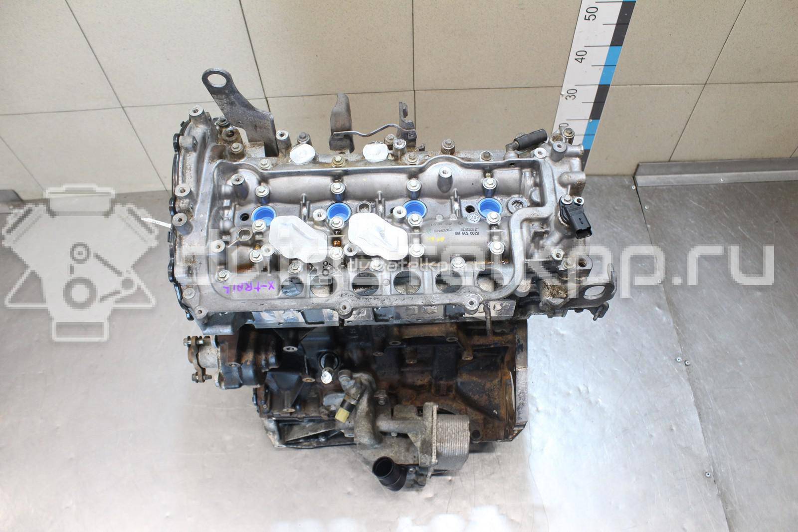 Фото Контрактный (б/у) двигатель M9R для Nissan Qashqai / X-Trail 150-177 л.с 16V 2.0 л Дизельное топливо 1010200Q1K {forloop.counter}}