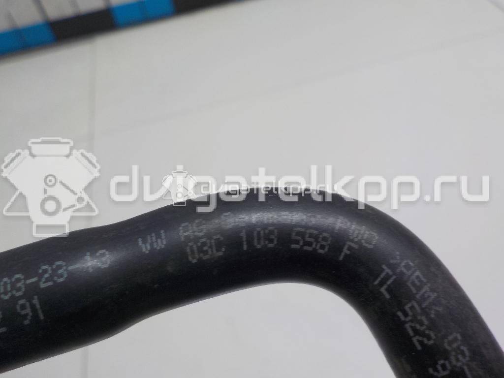 Фото Трубка картерных газов  03C103558F для Volkswagen / Seat {forloop.counter}}