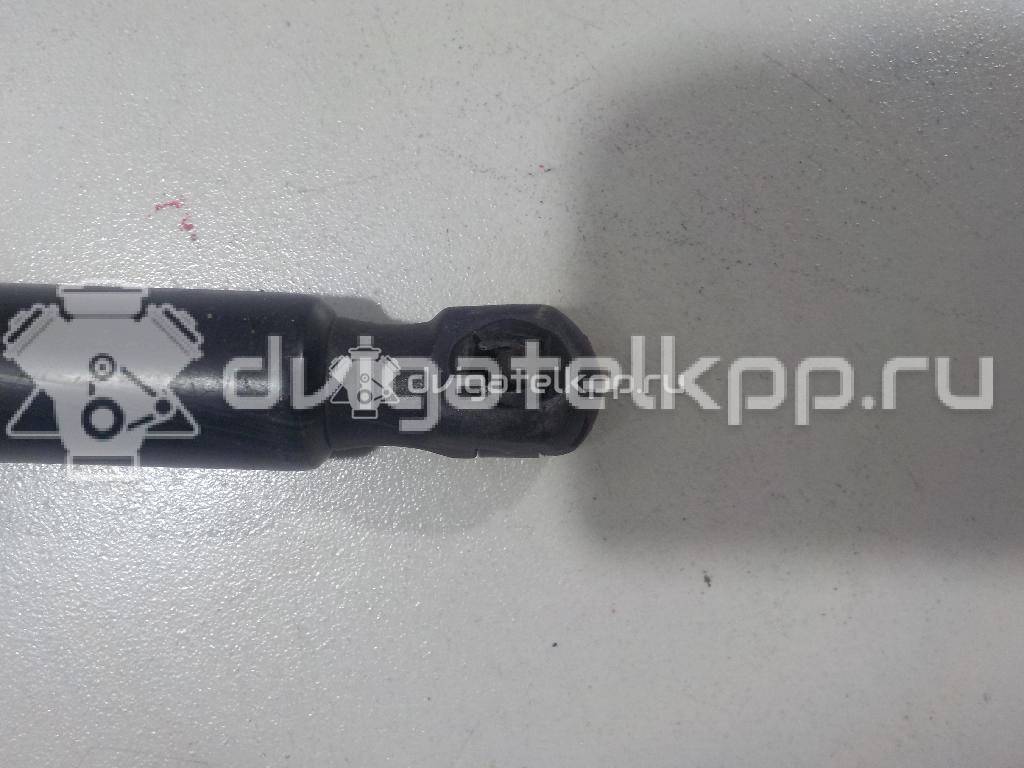 Фото Амортизатор двери багажника  2K0827550A для Volkswagen Caddy {forloop.counter}}