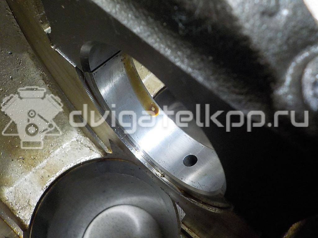 Фото Контрактный (б/у) двигатель BTS для Volkswagen / Skoda / Seat 105 л.с 16V 1.6 л бензин 03C100034T {forloop.counter}}