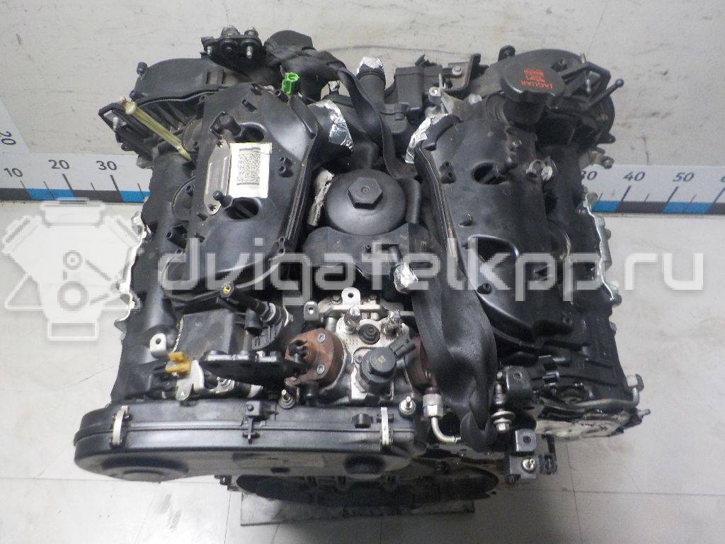 Фото Контрактный (б/у) двигатель 306DT для Land Rover Range Rover / Discovery 211-340 л.с 24V 3.0 л Дизельное топливо JDE7843 {forloop.counter}}