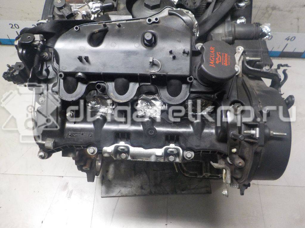 Фото Контрактный (б/у) двигатель 306DT для Jaguar / Land Rover 241-300 л.с 24V 3.0 л Дизельное топливо JDE7843 {forloop.counter}}