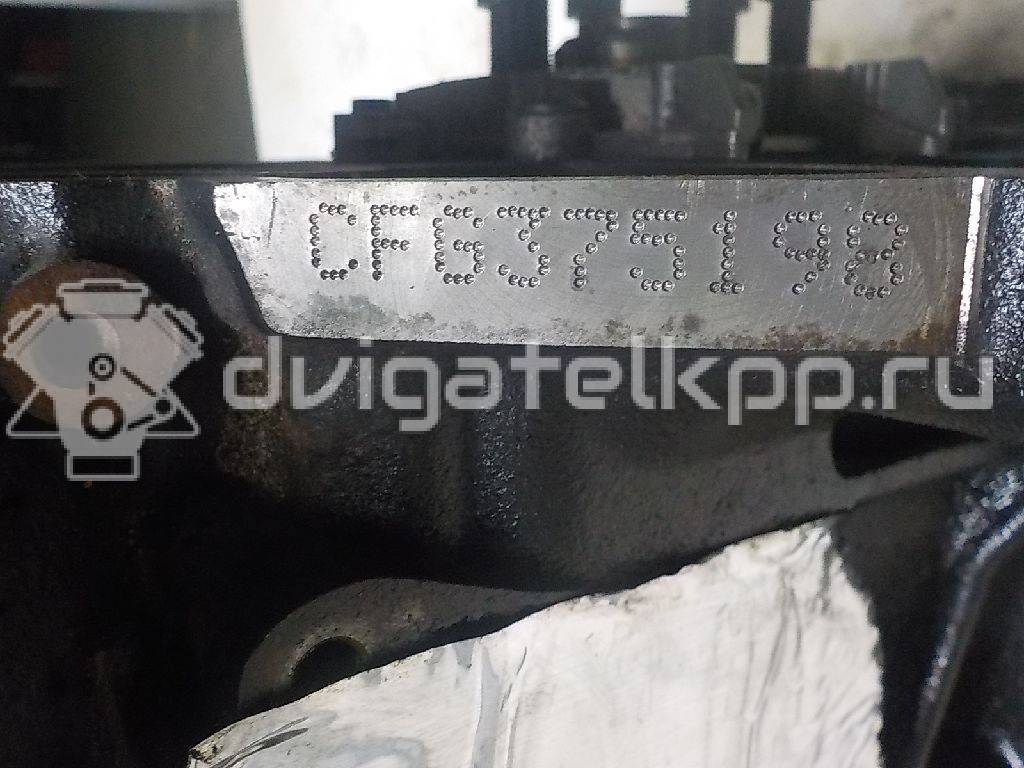 Фото Контрактный (б/у) двигатель CFFB для Skoda / Volkswagen 140 л.с 16V 2.0 л Дизельное топливо 03L100034 {forloop.counter}}