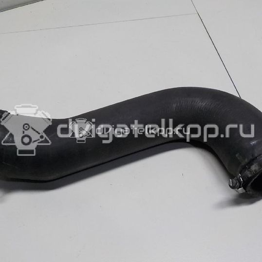 Фото Патрубок интеркулера для двигателя RHL (DW10BTED4) для Peugeot 407 126 л.с 16V 2.0 л Дизельное топливо 0382GZ