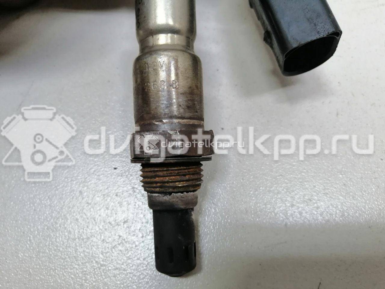 Фото Датчик кислородный/Lambdasonde  03F906262B для Volkswagen Touran / Golf / Passat / Polo / Caddy {forloop.counter}}