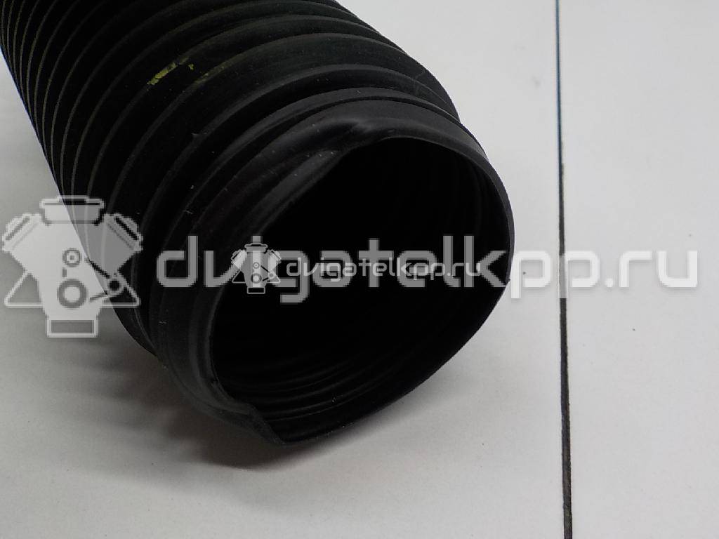 Фото Пыльник переднего амортизатора  6n0413175a для Volkswagen Scirocco / Tiguan / Touran / Vento 1H2 / New Beetle {forloop.counter}}