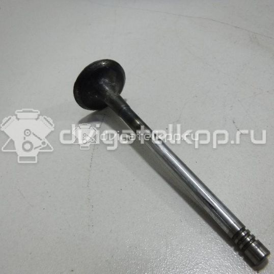 Фото Клапан выпускной  06D109611L для Volkswagen Scirocco / Tiguan / Touran / Amarok S1B / New Beetle