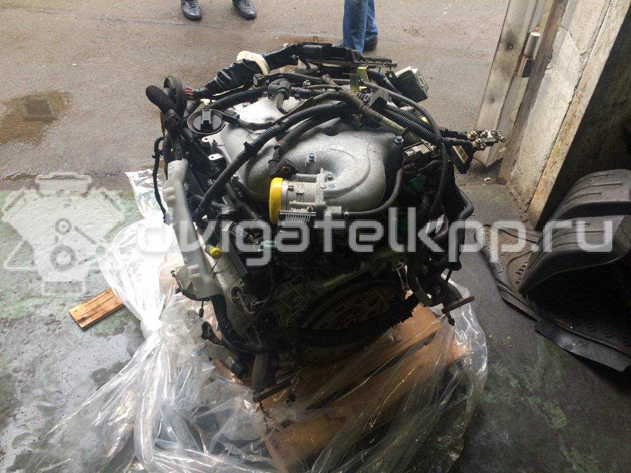 Фото Контрактный (б/у) двигатель VQ35DE для Infiniti / Mitsuoka / Isuzu / Nissan / Nissan (Dongfeng) 231-305 л.с 24V 3.5 л бензин {forloop.counter}}