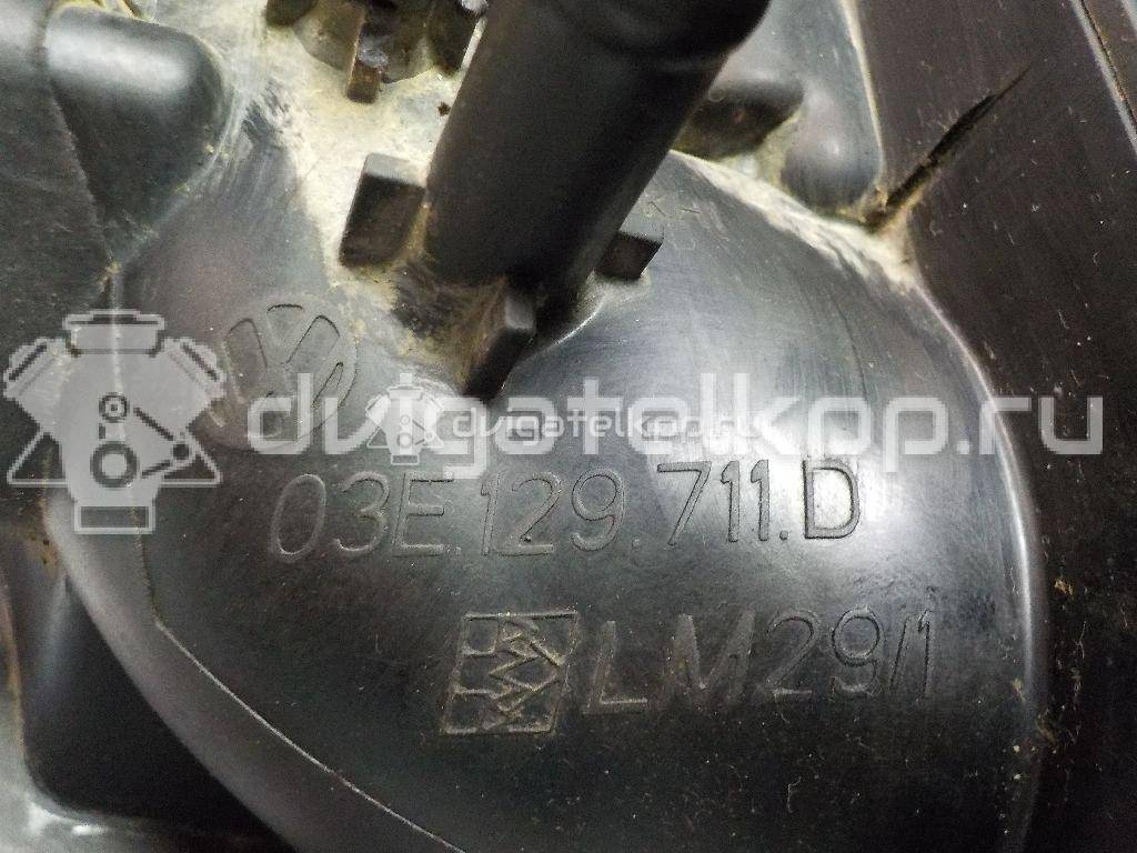 Фото Коллектор впускной для двигателя BZG для Seat Ibiza 70 л.с 12V 1.2 л бензин 03E129711D {forloop.counter}}