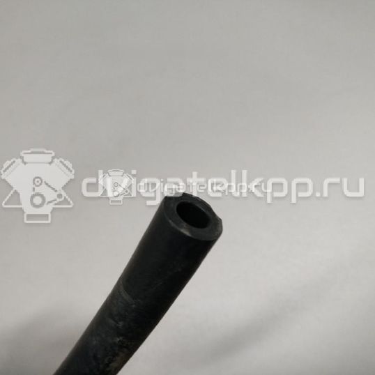 Фото Шланг топливный для двигателя BTS для Volkswagen / Skoda / Seat 105 л.с 16V 1.6 л бензин 036133514E