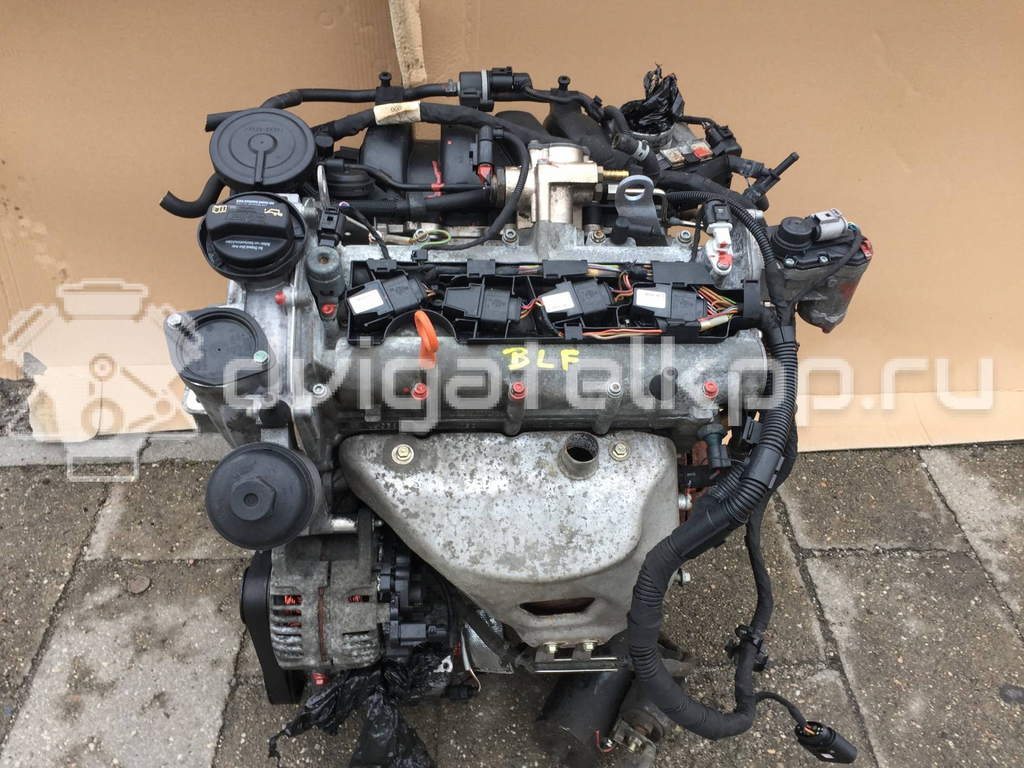 Фото Контрактный (б/у) двигатель BLF для Volkswagen Passat / Eos 1F7, 1F8 / Jetta / Golf 115 л.с 16V 1.6 л бензин {forloop.counter}}