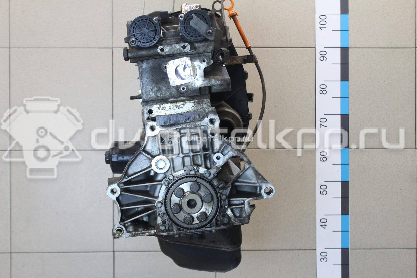 Фото Контрактный (б/у) двигатель CGGA для Volkswagen Golf 80 л.с 16V 1.4 л бензин 036100038J {forloop.counter}}