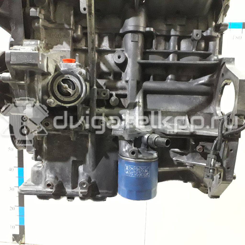 Фото Контрактный (б/у) двигатель G4FG для Hyundai / Kia 120-132 л.с 16V 1.6 л бензин Z71312BZ00 {forloop.counter}}