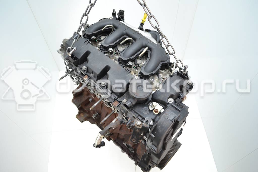 Фото Контрактный (б/у) двигатель G6DF для Ford / Hyundai / Kia 133 л.с 16V 2.0 л Дизельное топливо 1343078 {forloop.counter}}