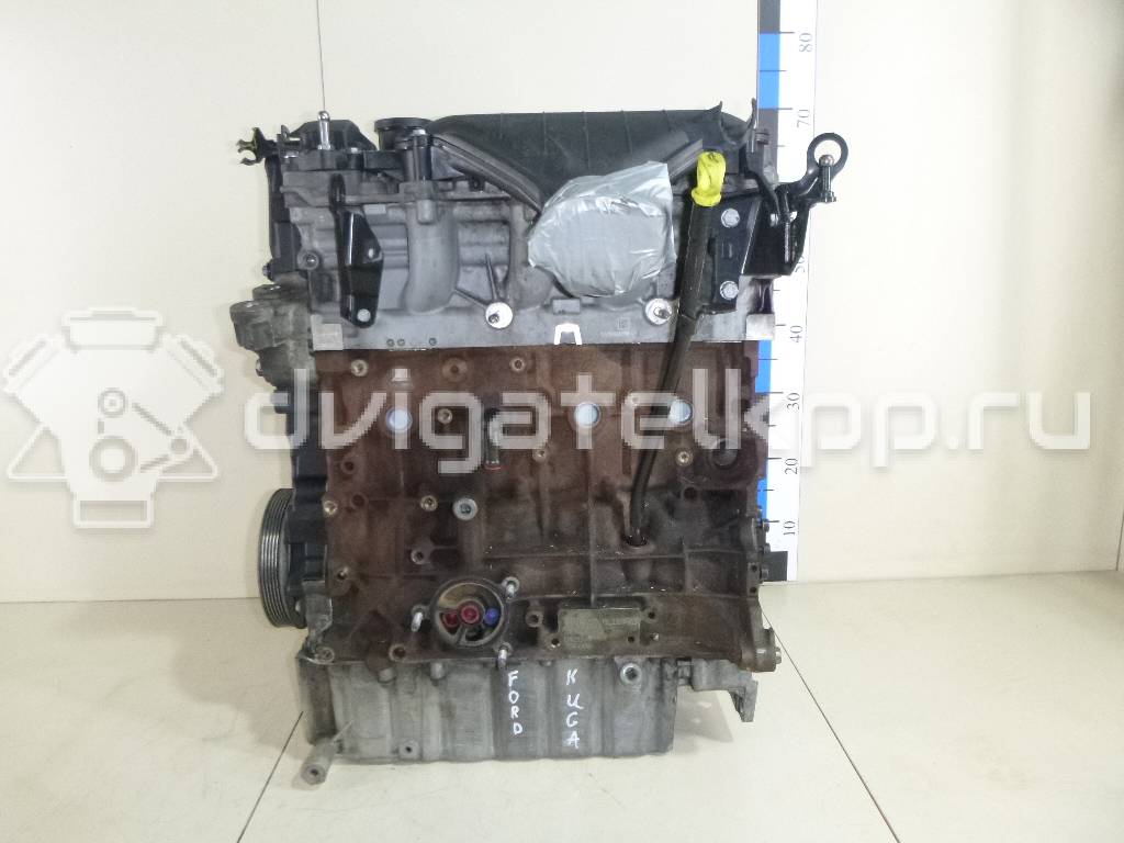 Фото Контрактный (б/у) двигатель G6DG для Ford / Hyundai / Kia 136 л.с 16V 2.0 л Дизельное топливо 1516648 {forloop.counter}}