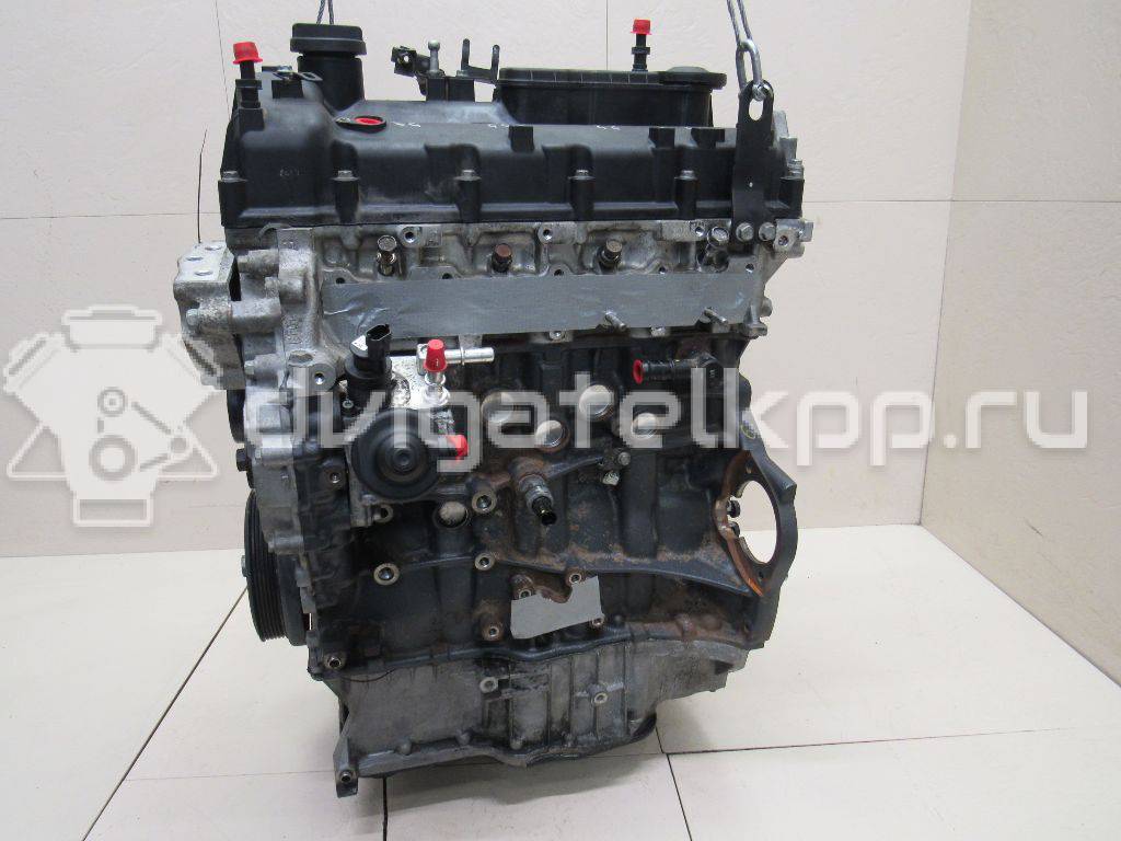 Фото Контрактный (б/у) двигатель D4HA для Hyundai / Kia 136-185 л.с 16V 2.0 л Дизельное топливо Z62412FZ00 {forloop.counter}}