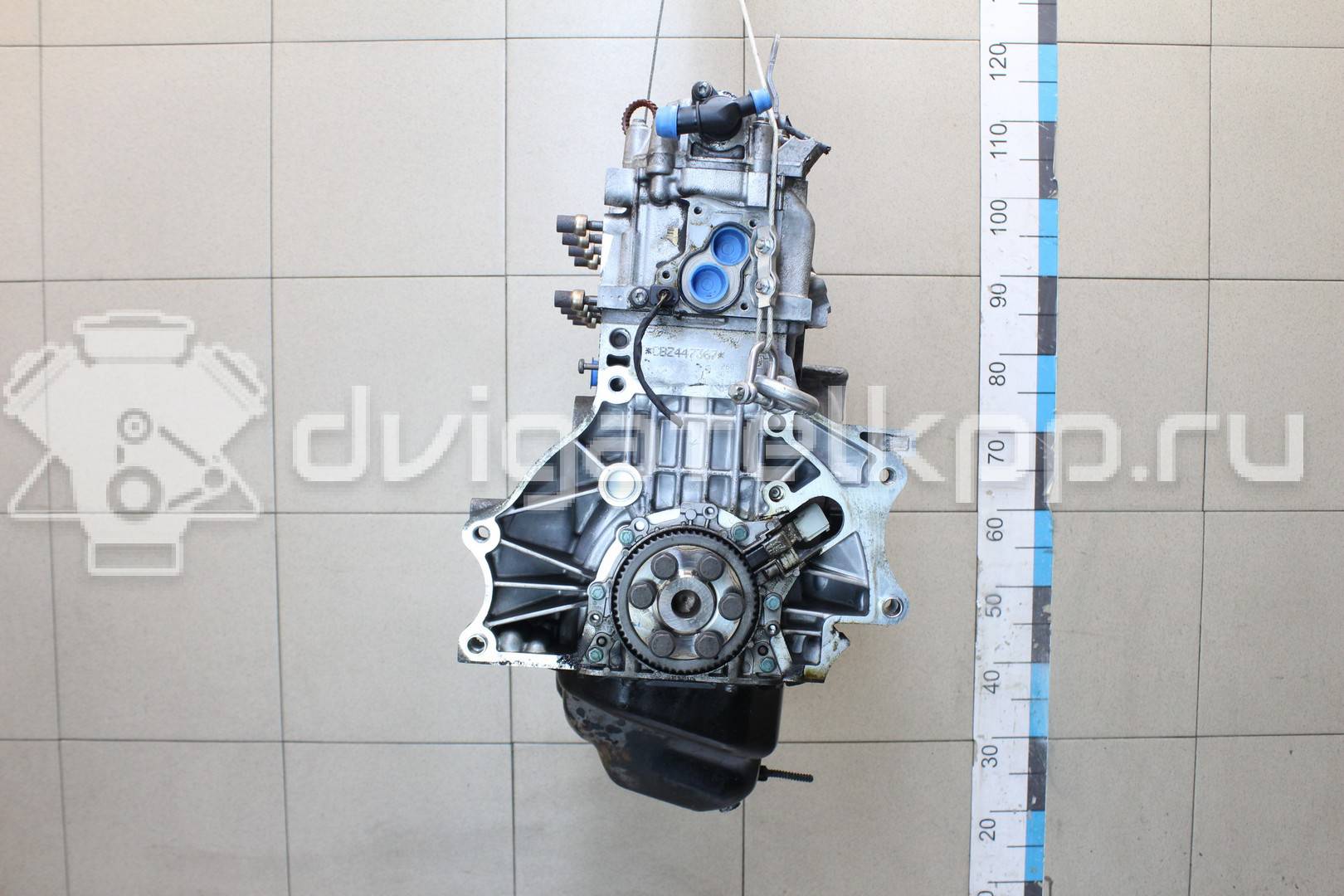 Фото Контрактный (б/у) двигатель CBZB для Volkswagen / Audi 105 л.с 8V 1.2 л бензин 03F100031FX {forloop.counter}}