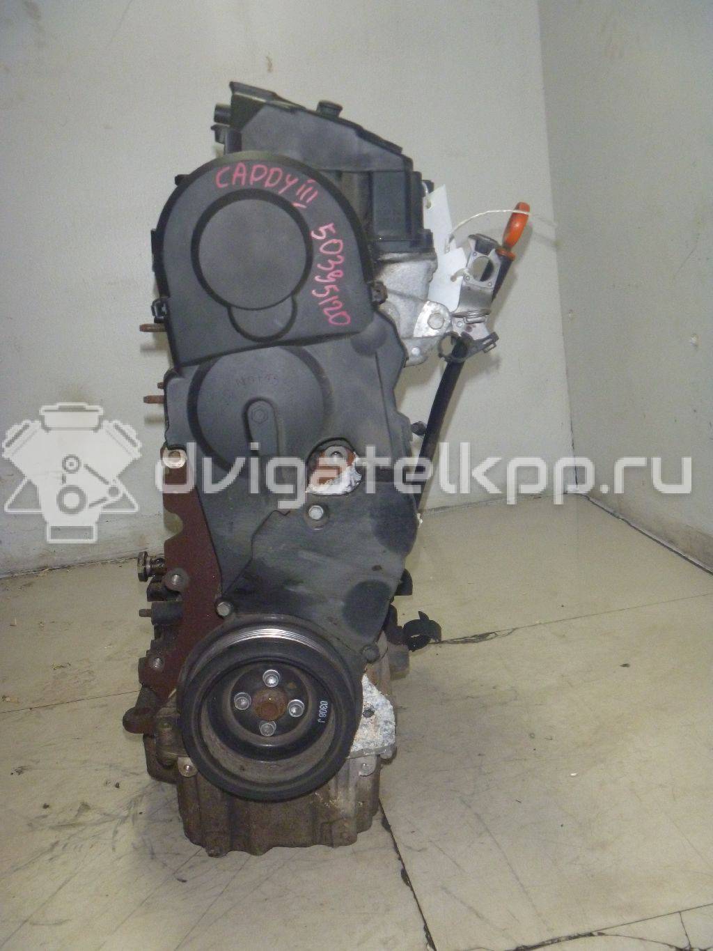 Фото Контрактный (б/у) двигатель BLS для Volkswagen / Seat 105 л.с 8V 1.9 л Дизельное топливо 03G100098HX {forloop.counter}}