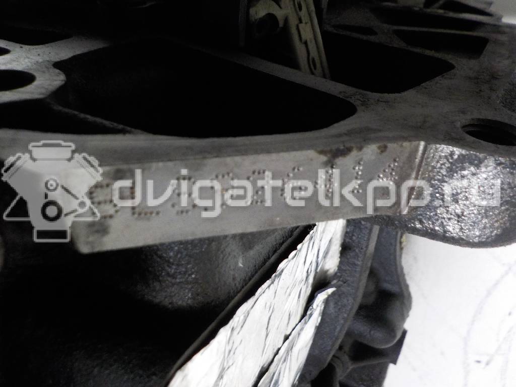 Фото Контрактный (б/у) двигатель BLS для Volkswagen / Seat 105 л.с 8V 1.9 л Дизельное топливо 03G100037H {forloop.counter}}